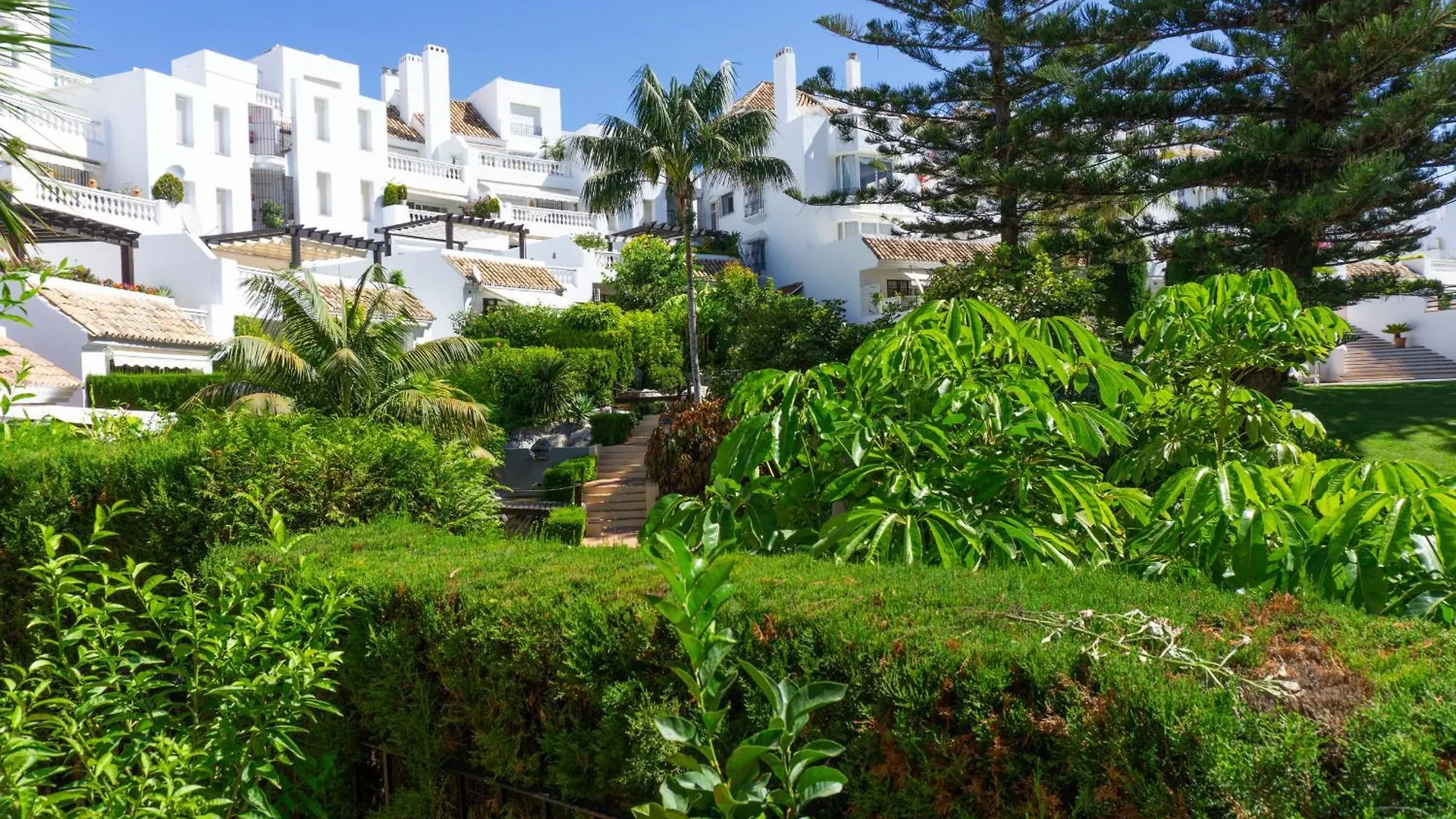 White Pearl Beach J4 Marbella